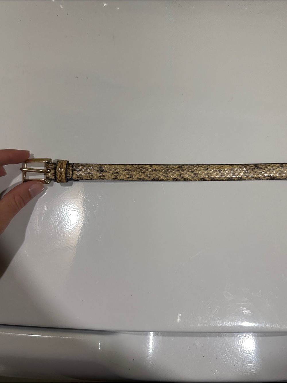 Snake-Print Narrow Women's Belt in Beige
